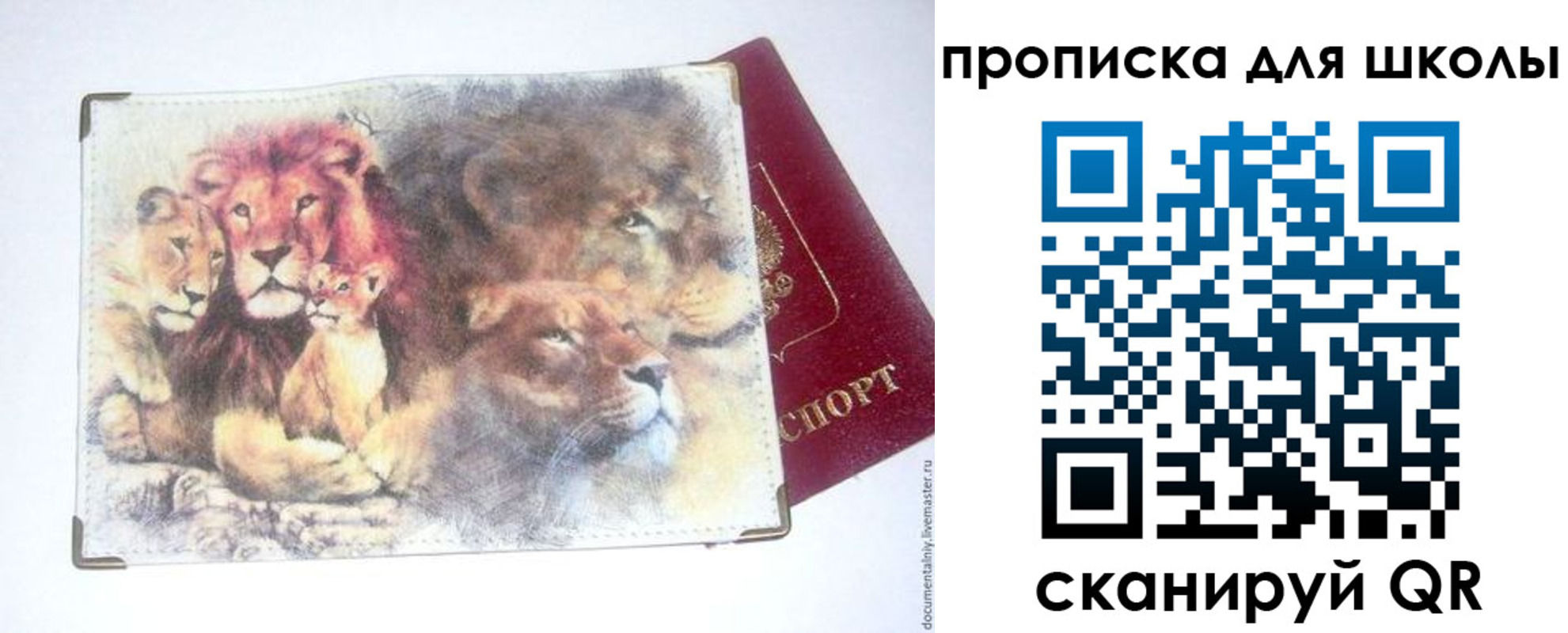 временная регистрация гарантия в Балее